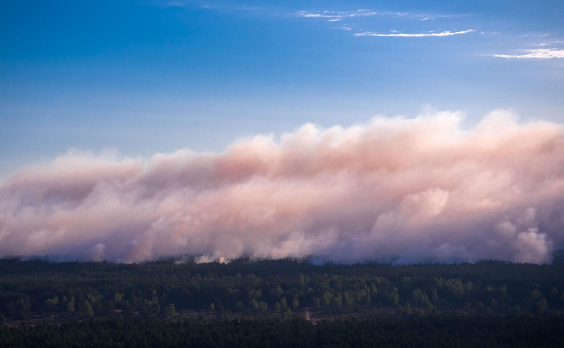 Rauch steigt bei dem großflächigen Waldbrand in Mecklenburg-Vorpommern aus dem Wald auf.