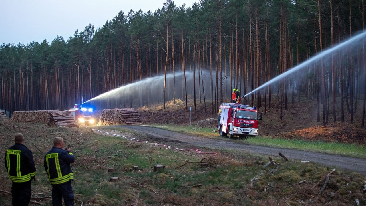 Mit mehreren Rohren versuchen Feuerwehrleute am Waldrand in der Nähe von Alt Jabel, den Brand einzudämmen. Mit mehreren Rohren versuchen Feuerwehrleute am Waldrand in der Nähe von Alt Jabel, den Brand einzudämmen.