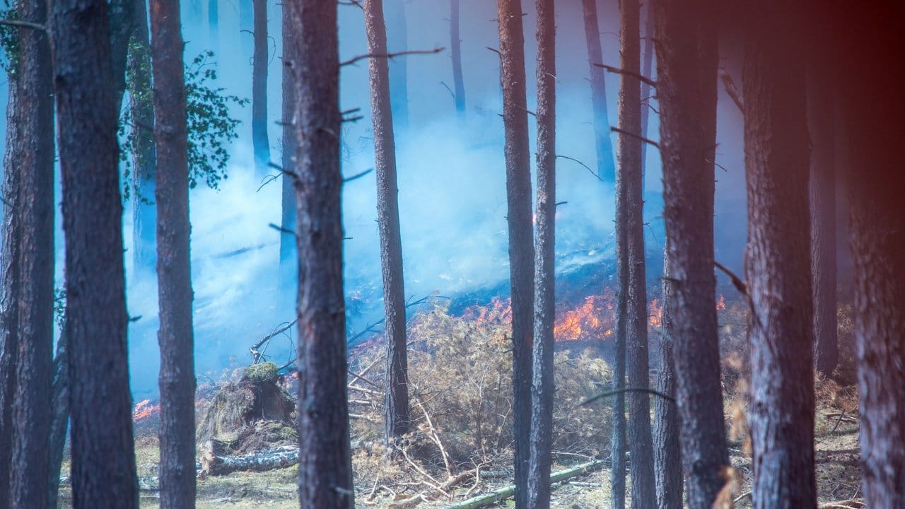 Dichter Rauch zieht durch den Wald in der Nähe der evakuierten Ortschaft Alt Jabel.