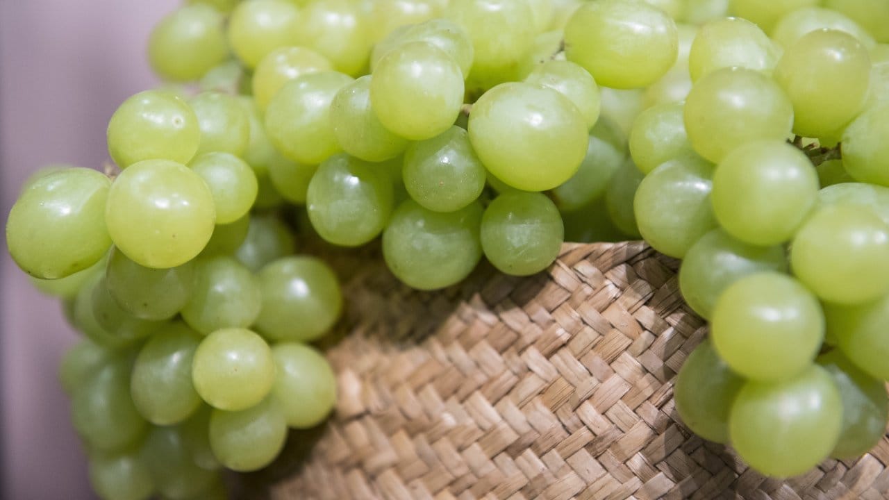 Manche Obstsorten enthalten deutlich mehr Zucker als andere. Ein Beispiel dafür sind Weintrauben.