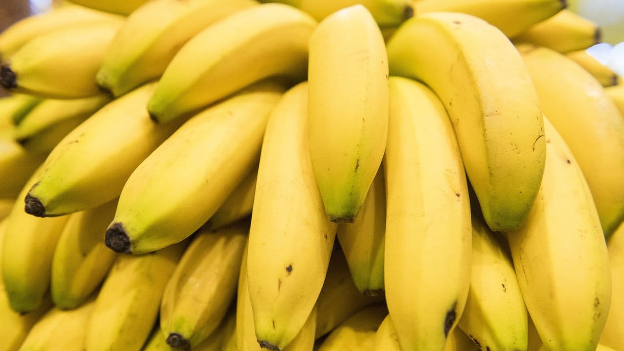 Die Banane gehört zu den Obstsorten mit dem höchsten Zuckergehalt.