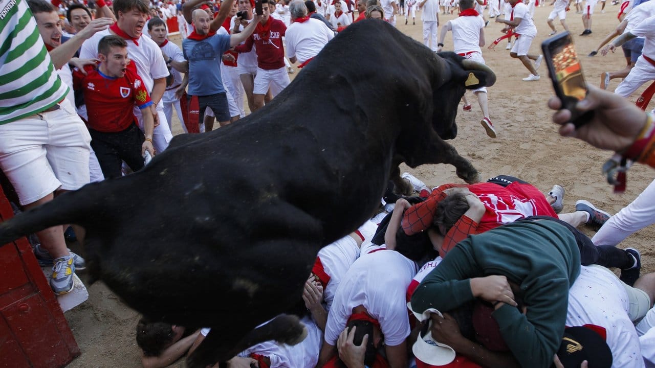 Ein Stier springt über auf dem Boden liegende Teilnehmer der Stierhatz.