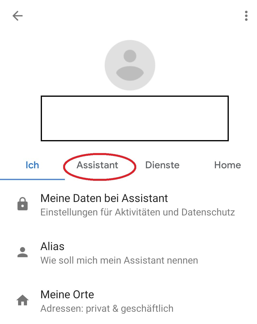 Als nächstes wählen Sie den Reiter "Assistant".