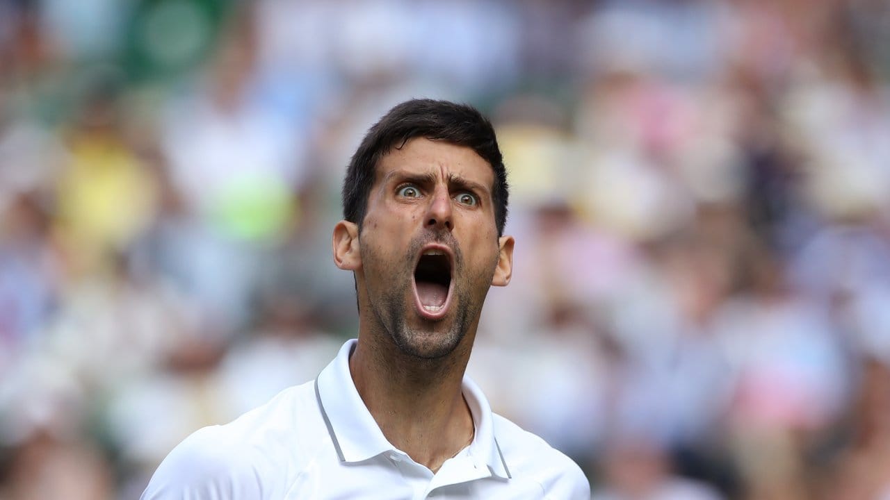 Zieht mit einem triumphierenden Schrei ins Finale von Wimbledon ein: Novak Djokovic.