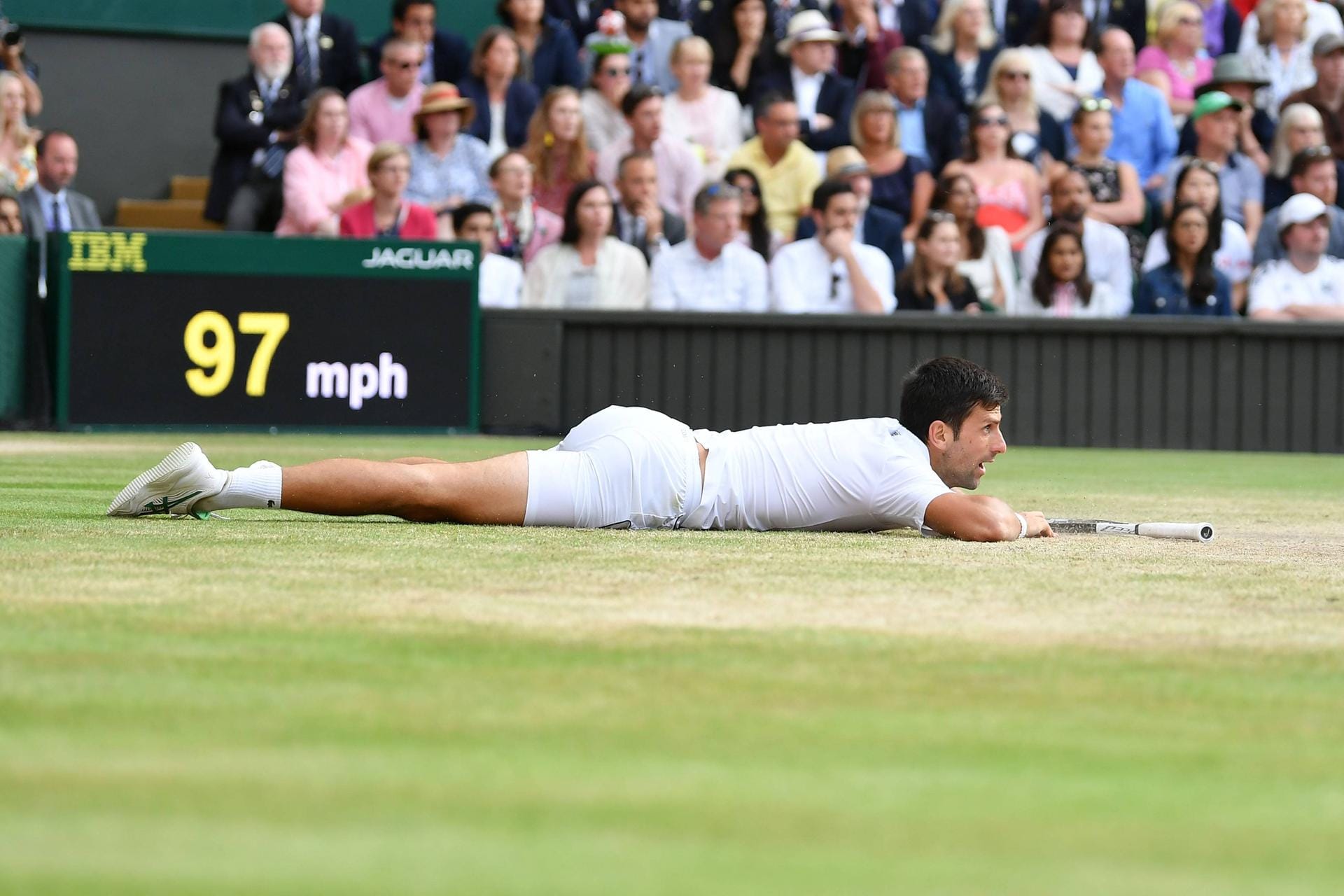 Djokovic kämpfte, hechtete über den heiligen Rasen von Wimbledon, rutschte zu den Schlägen, gab alles.