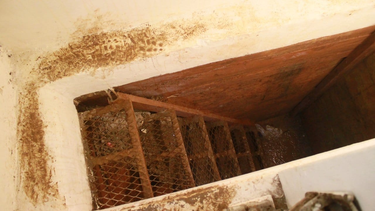 Weg nach draußen: Dieser Fluchttunnel befand sich in einer Fluchtwohnung von "El Chapo" im mexikanischen Bundesstaat Sinaloa. Weg nach draußen: Dieser Fluchttunnel befand sich in einer Fluchtwohnung von "El Chapo" im mexikanischen Bundesstaat Sinaloa.