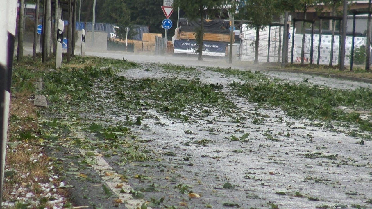 Nach einer Unwetterfront mit Hagelschauern liegen Blätter und Hagelkörner auf einer Straße in Krefeld.