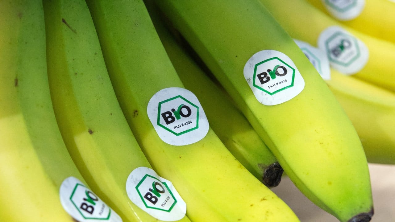 Sowohl mit konventionellen Lebensmitteln als auch mit Bioware kann man sich gut ernähren, sagen Experten. Sowohl mit konventionellen Lebensmitteln als auch mit Bioware kann man sich gut ernähren, sagen Experten.