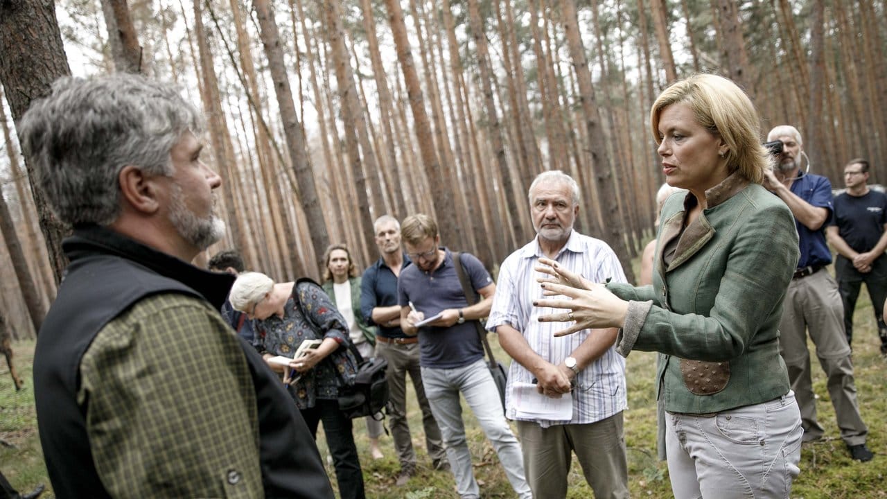 Landwirtschaftsministerin Julia Klöckner besucht ein Waldgebiet bei Treuenbritzen in Brandenburg.