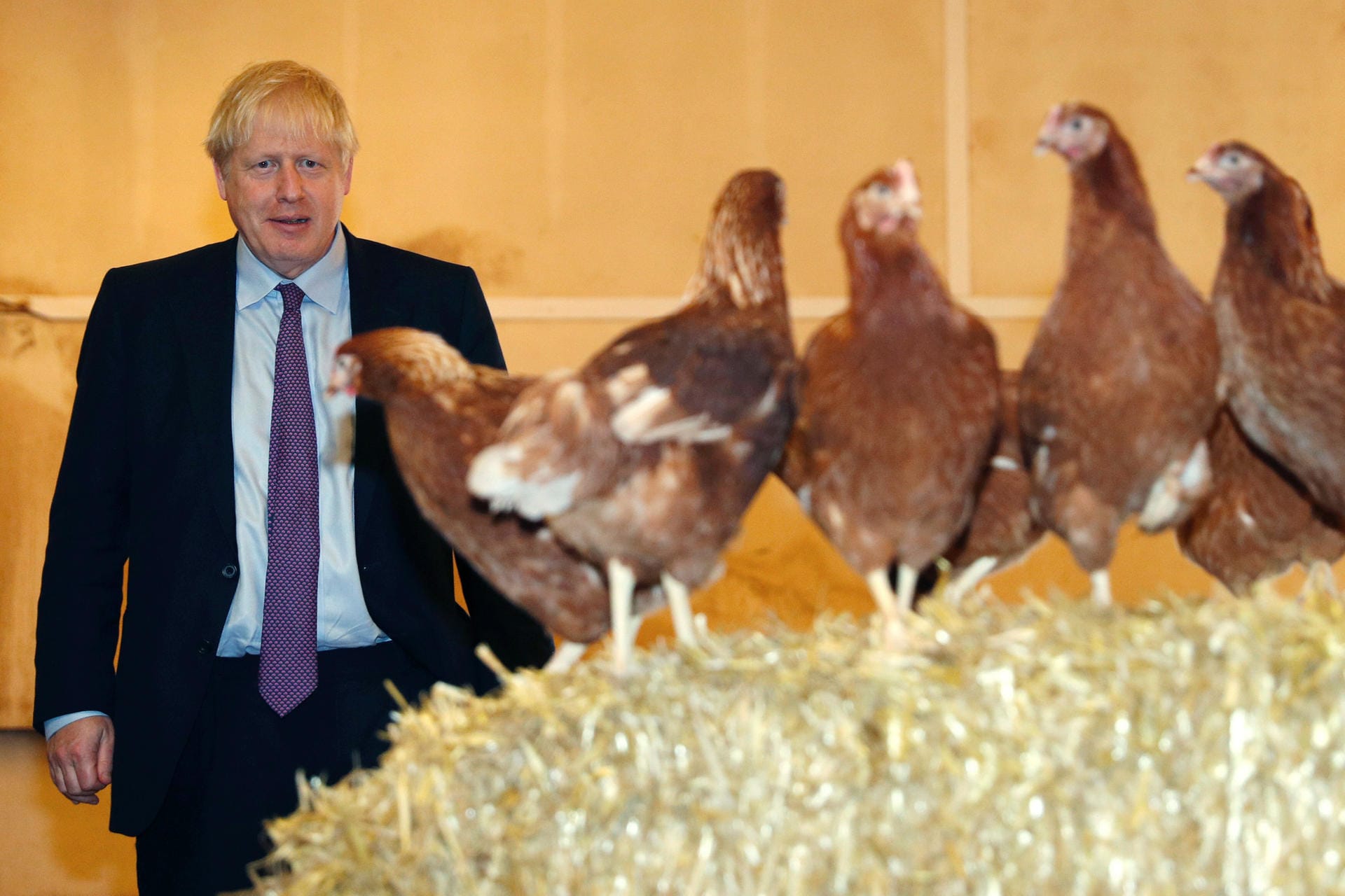 Johnson zu Besuch in Wales: Nach der Nachwahl bleibt dem Premier nur noch eine hauchdünne Mehrheit von einer Stimme im britischen Unterhaus.