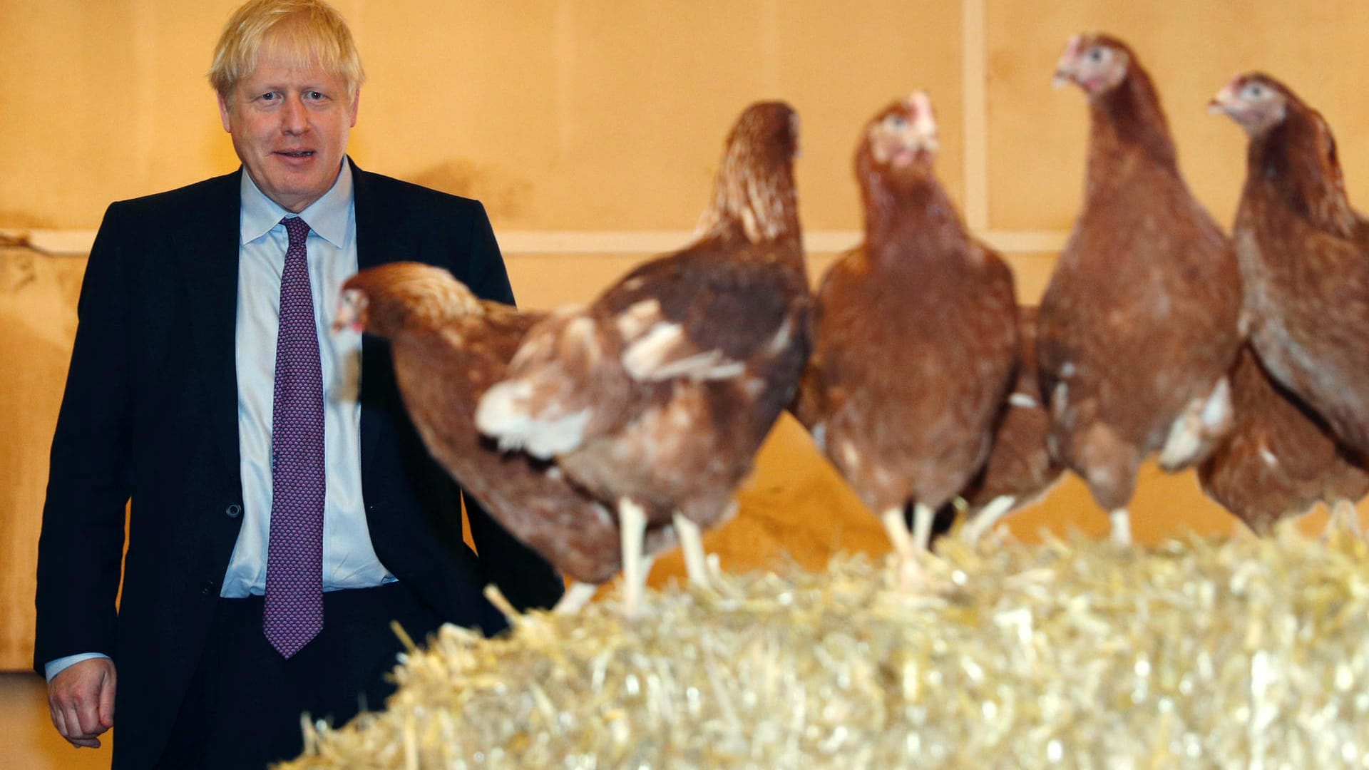 Johnson zu Besuch in Wales: Nach der Nachwahl bleibt dem Premier nur noch eine hauchdünne Mehrheit von einer Stimme im britischen Unterhaus.