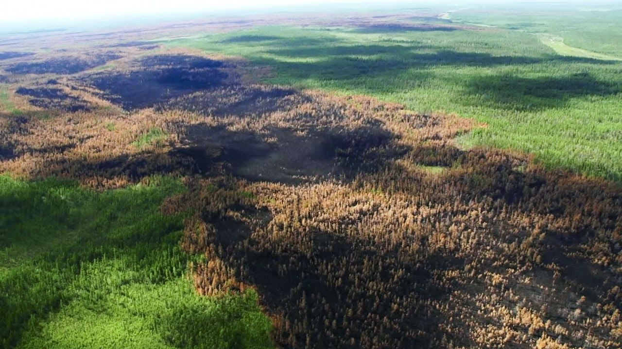 Das Standbild eines Videos zeigt den dramatischen Wald- und Flächenbrand in der Region Krasnojarsk. Das Standbild eines Videos zeigt den dramatischen Wald- und Flächenbrand in der Region Krasnojarsk.