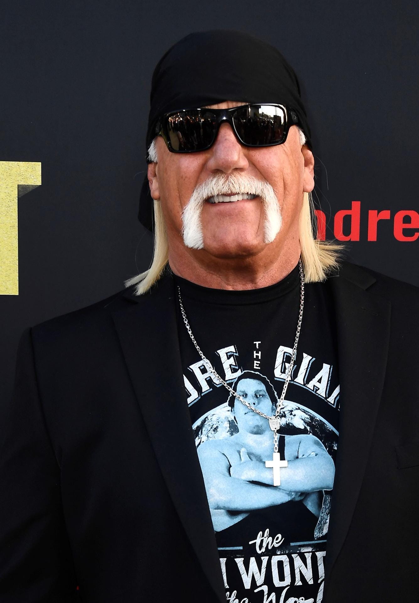 Ex-Wrestler und Schauspieler Hulk Hogan: 11. August 1953