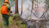 Ein Mitarbeiter des russischen Luftwaldschutzes im Kampf gegen den Waldbrand: Kritiker werfen den Behörden vor, zu spät auf die Katastrophe reagiert zu haben.