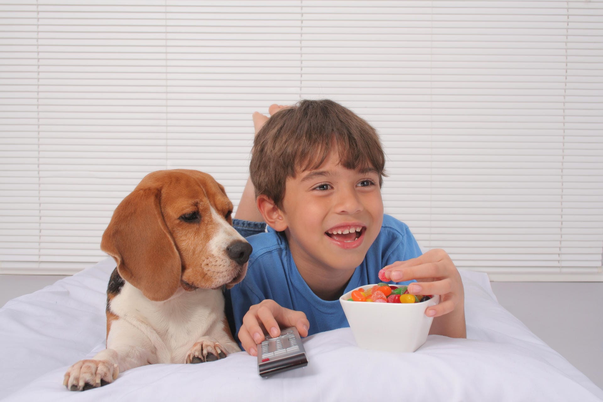 Xylit ist für Hunde gefährlich: Der Süßstoff Xylit kommt vor allem in zuckerfreien Süßigkeiten, Bonbons und Kaugummi vor und kann bei Hunden zu einem lebensgefährlichen Blutzuckerabfall führen.