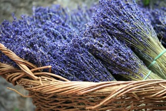 Korb mit Lavendelsträußen: Lassen Sie die Blüten an einem luftigen Ort trocknen, damit sich kein Schimmel bilden kann.