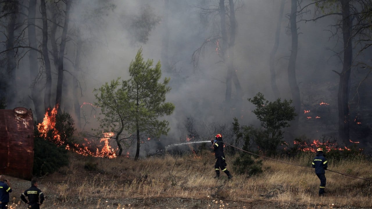 Nach Schätzungen des Gouverneurs der Region sind bislang 2500 Hektar Pinienwald den Flammen zum Opfer gefallen.
