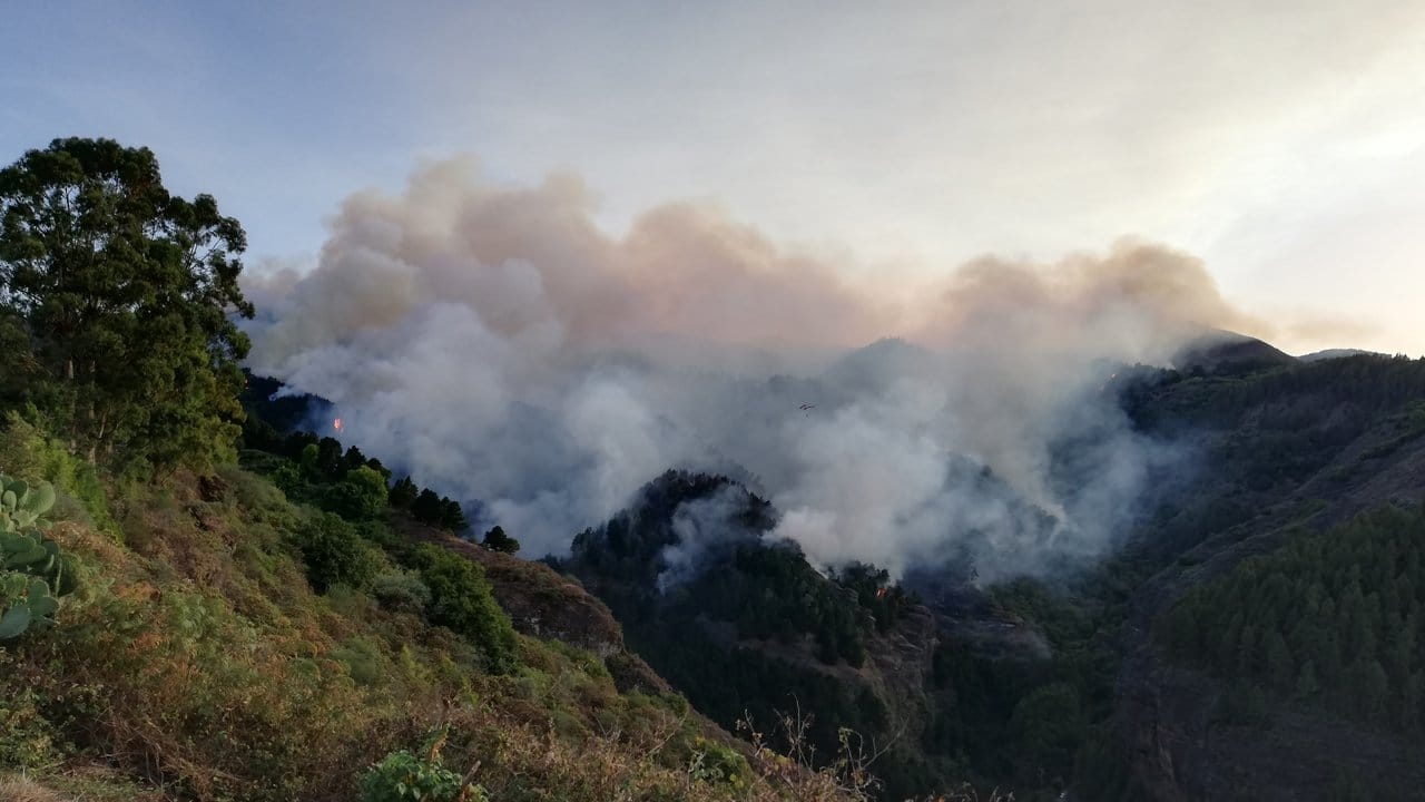 In den Bergen auf Gran Canaria ist erneut ein schwerer Waldbrand ausgebrochen.
