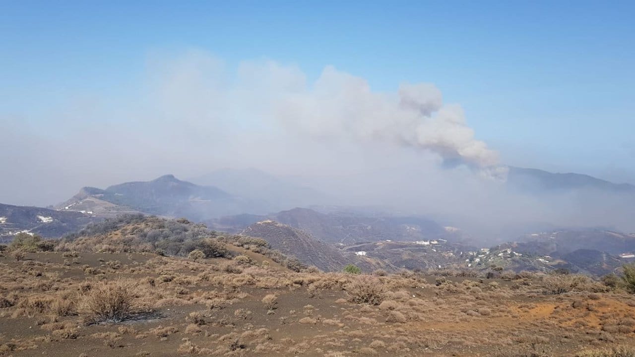 Das Feuer hat den Naturpark Tamadaba erreicht.