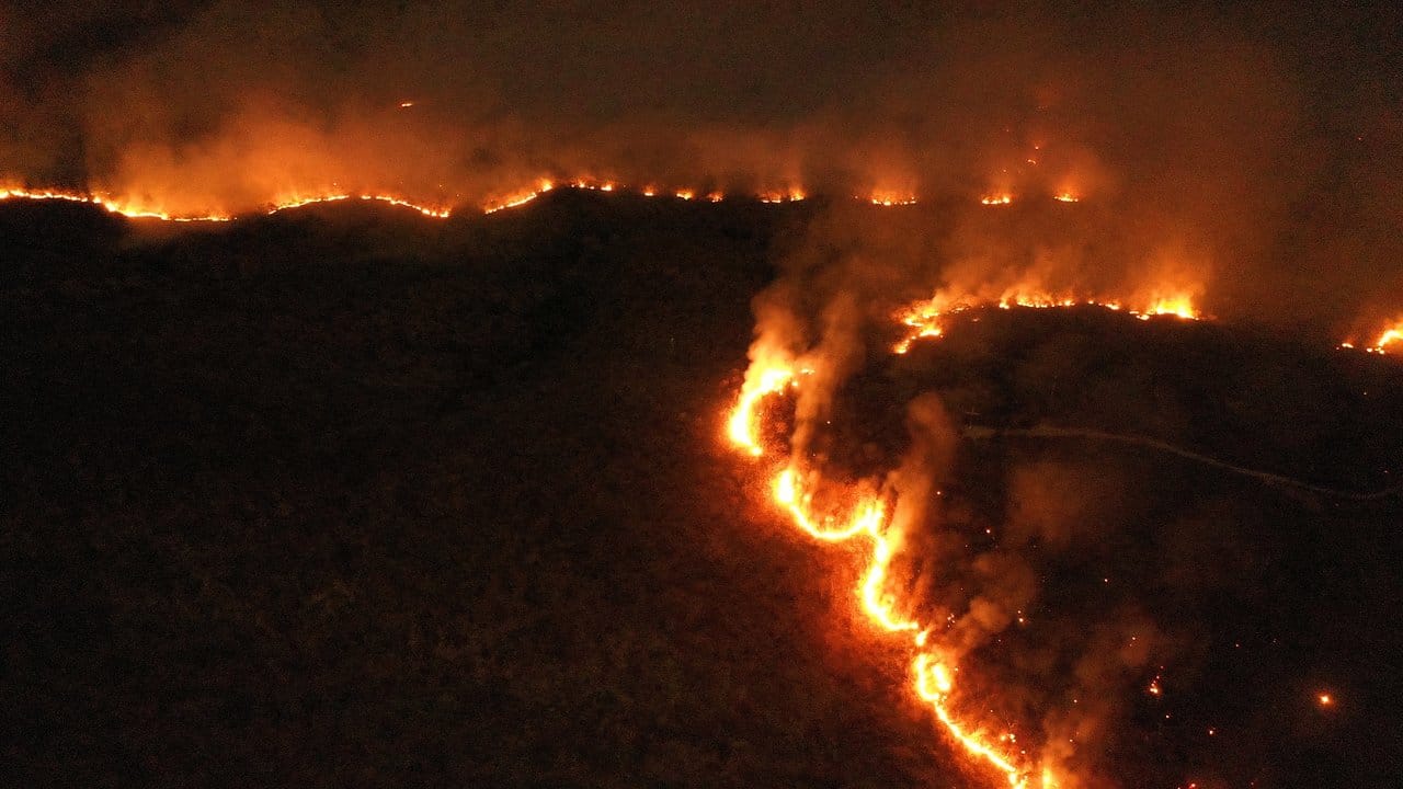 Massive Waldbrände wüten im Amazonasgebiet und den angrenzenden Steppengebieten.