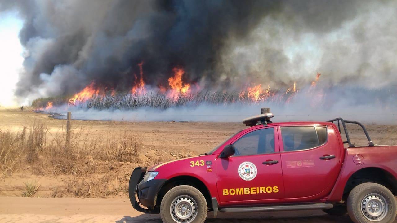 In Brasilien wüten die schwersten Waldbrände seit Jahren.
