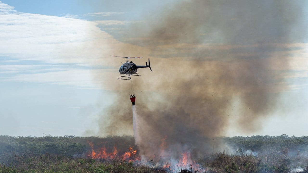 Seit Januar 2019 sollen die Feuer und Brandrodungen Brasilien im Vergleich zum Vorjahreszeitraum um 83 Prozent zugenommen haben.