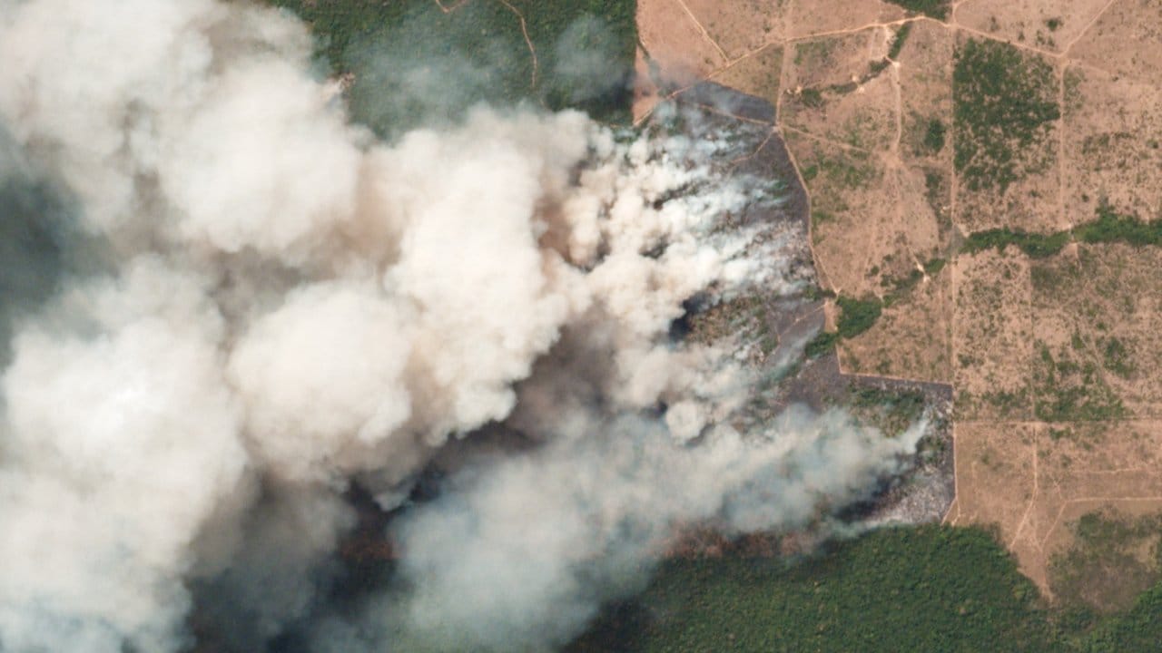 Das Satellitenbild zeigt die Brände in den betroffenen Regionen in dem brasilianischen Bundesstaat Pará.