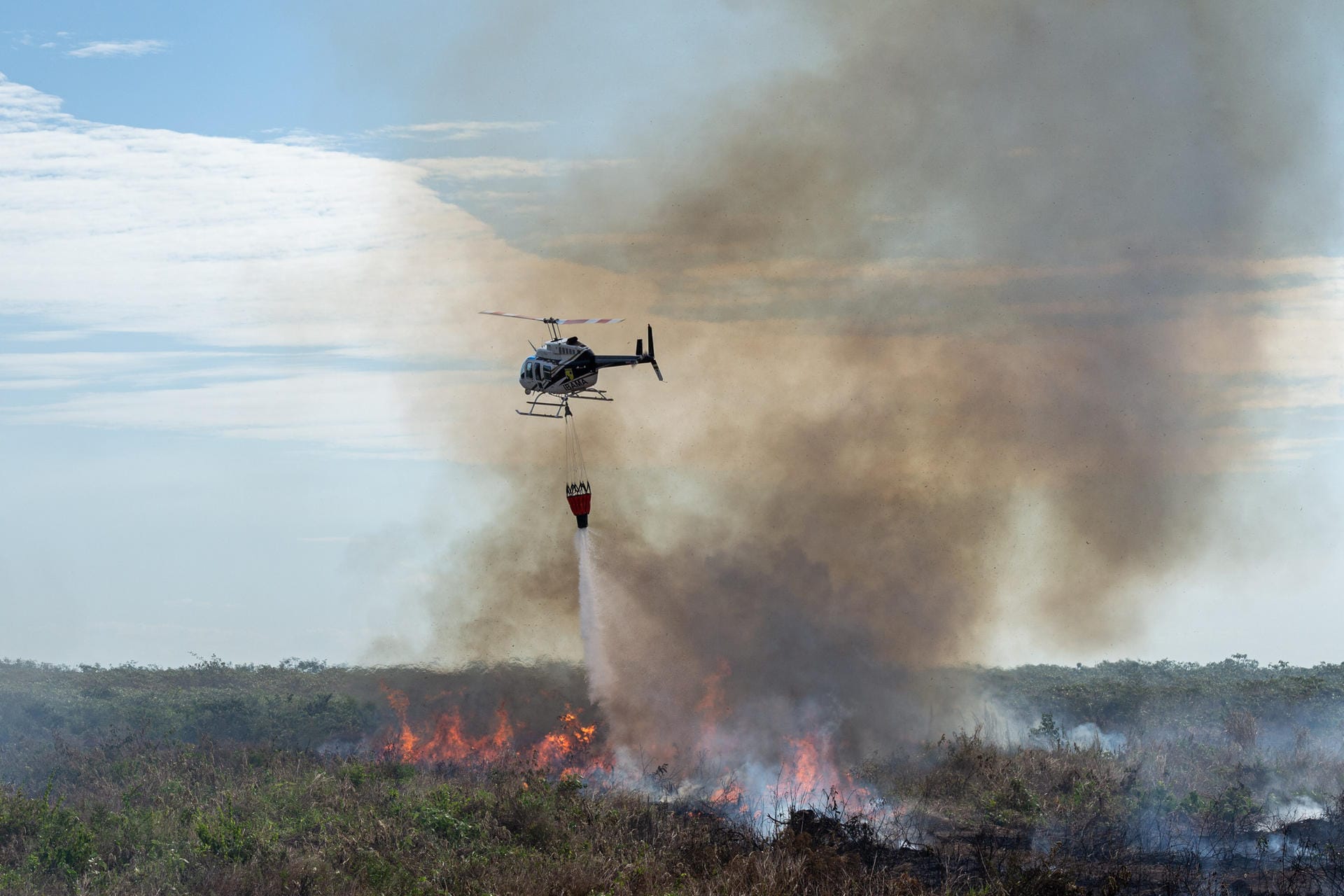 Seit Januar 2019 sollen die Feuer und Brandrodungen im größten Land Südamerikas im Vergleich zum Vorjahreszeitraum um 83 Prozent zugenommen haben.