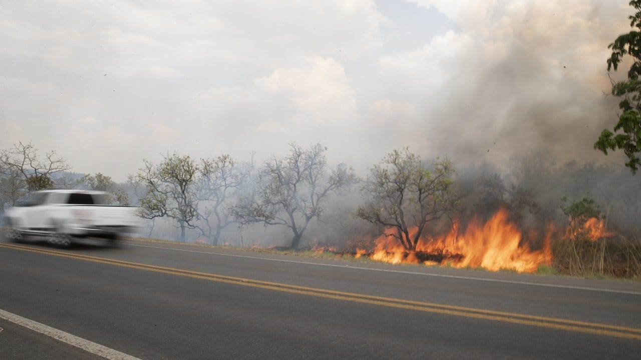 Flammen lodern in einem Waldgebiet am Rand eines Highways.