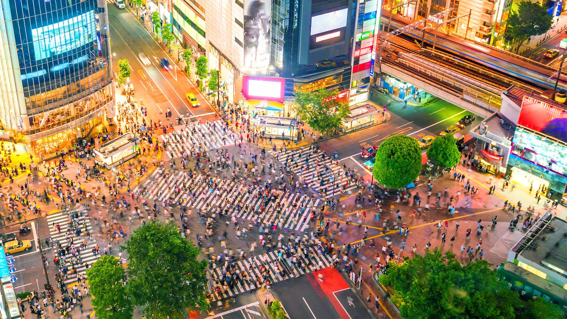 Shibuya-Kreuzung in Tokio: Eine eigene Live-Kamera zeugt vom Treiben auf einer der bekanntesten Kreuzungen der Welt.