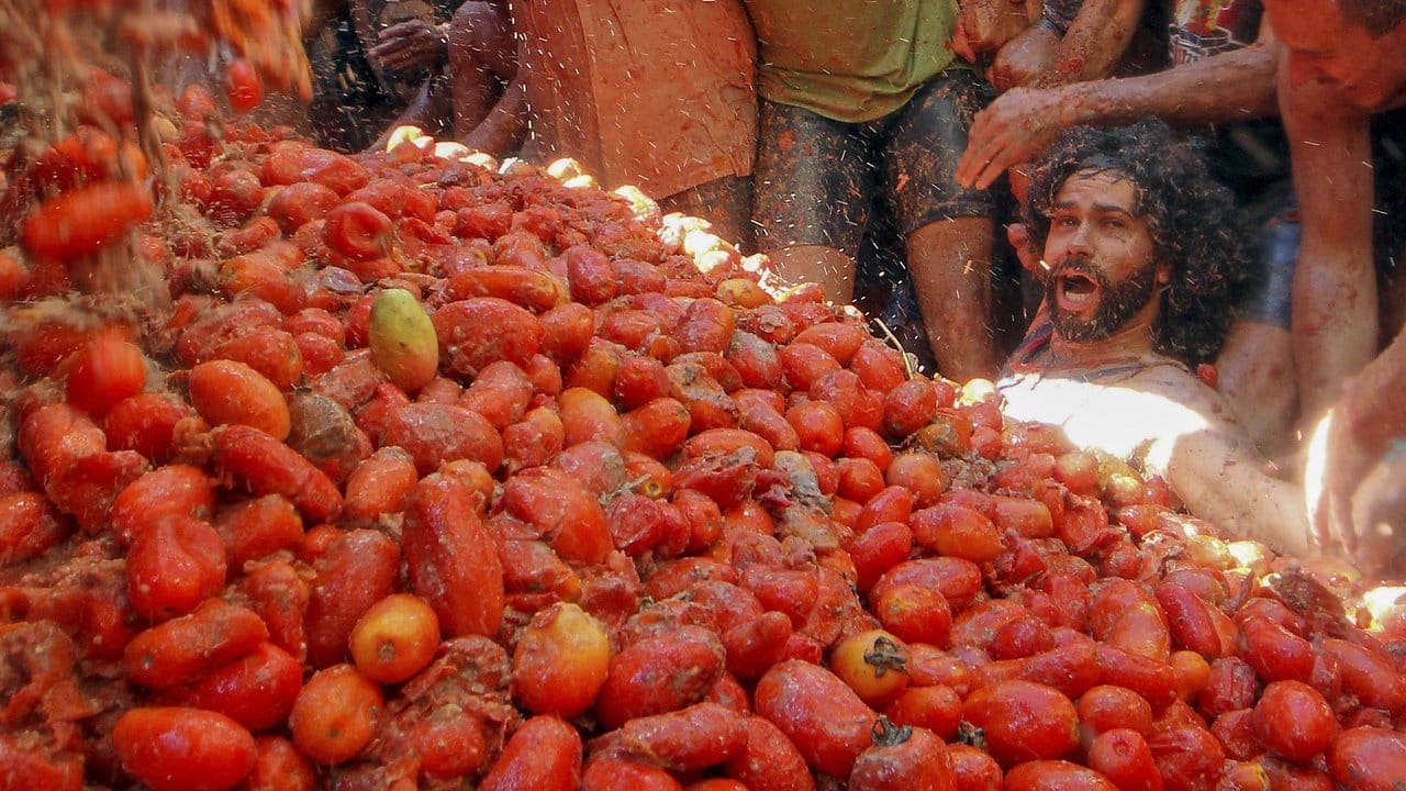 Jedes Jahr kommen Tausende von Spaniern und Besuchern aus aller Welt in die kleine spanische Stadt Buñol, um an der Tomatenschlacht teilzunehmen.