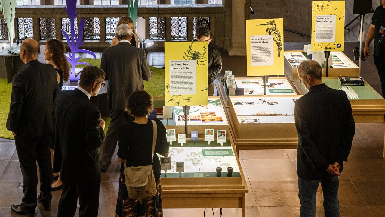 "Mit Loki in die Welt" - Blick in die Ausstellung im Museum für Hamburgische Geschichte.