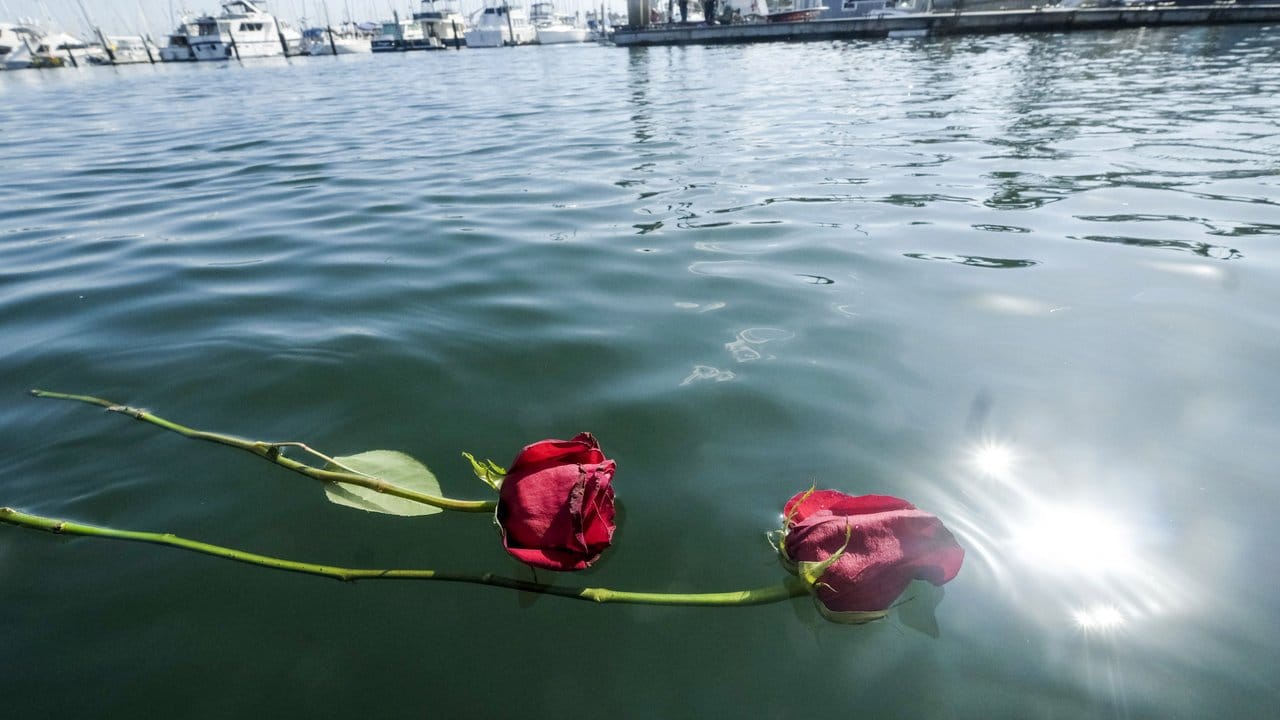 Trauer um die Toten des Bootsungücks: Zwei rote Rosen schwimmen auf dem Wasser im Hafen von Santa Barbara.