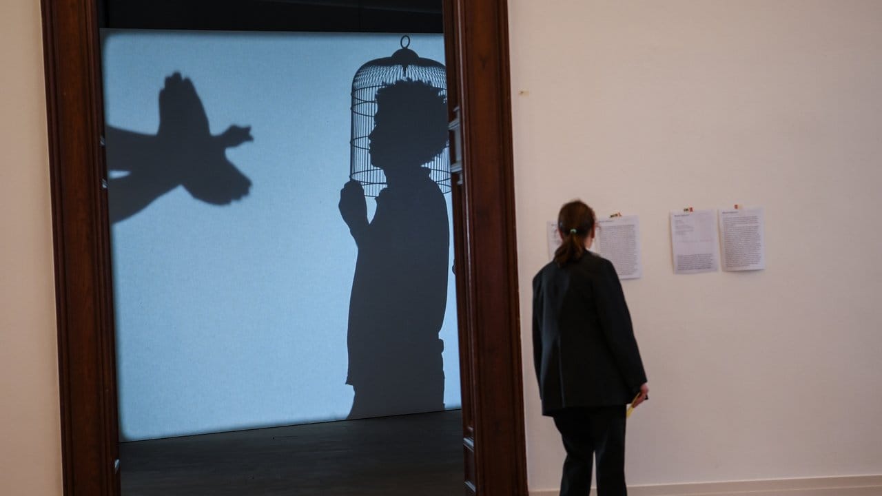Die Installation "Shadow play" des Künstlers Javier Tellez. Die Installation "Shadow play" des Künstlers Javier Tellez.
