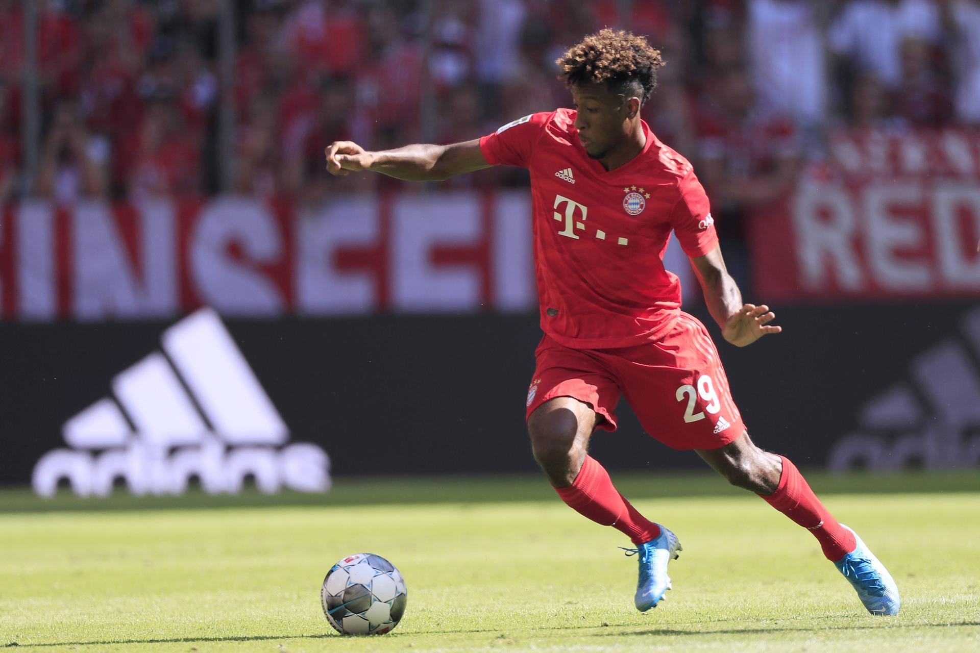 Kingsley Coman: Wirbelt in der Bayern-Offensive und zeigte zuletzt auch in der französischen Nationalelf, dass er in Topform ist: Drei Tore in den letzten beiden EM-Quali-Spielen. Aktuell mehr als nur ein würdiger Ribéry-Nachfolger. Ein Punkt für beide. 4:8 Kingsley Coman: Wirbelt in der Bayern-Offensive und zeigte zuletzt auch in der französischen Nationalelf, dass er in Topform ist: Drei Tore in den letzten beiden EM-Quali-Spielen. Aktuell mehr als nur ein würdiger Ribéry-Nachfolger. Ein Punkt für beide. 4:8
