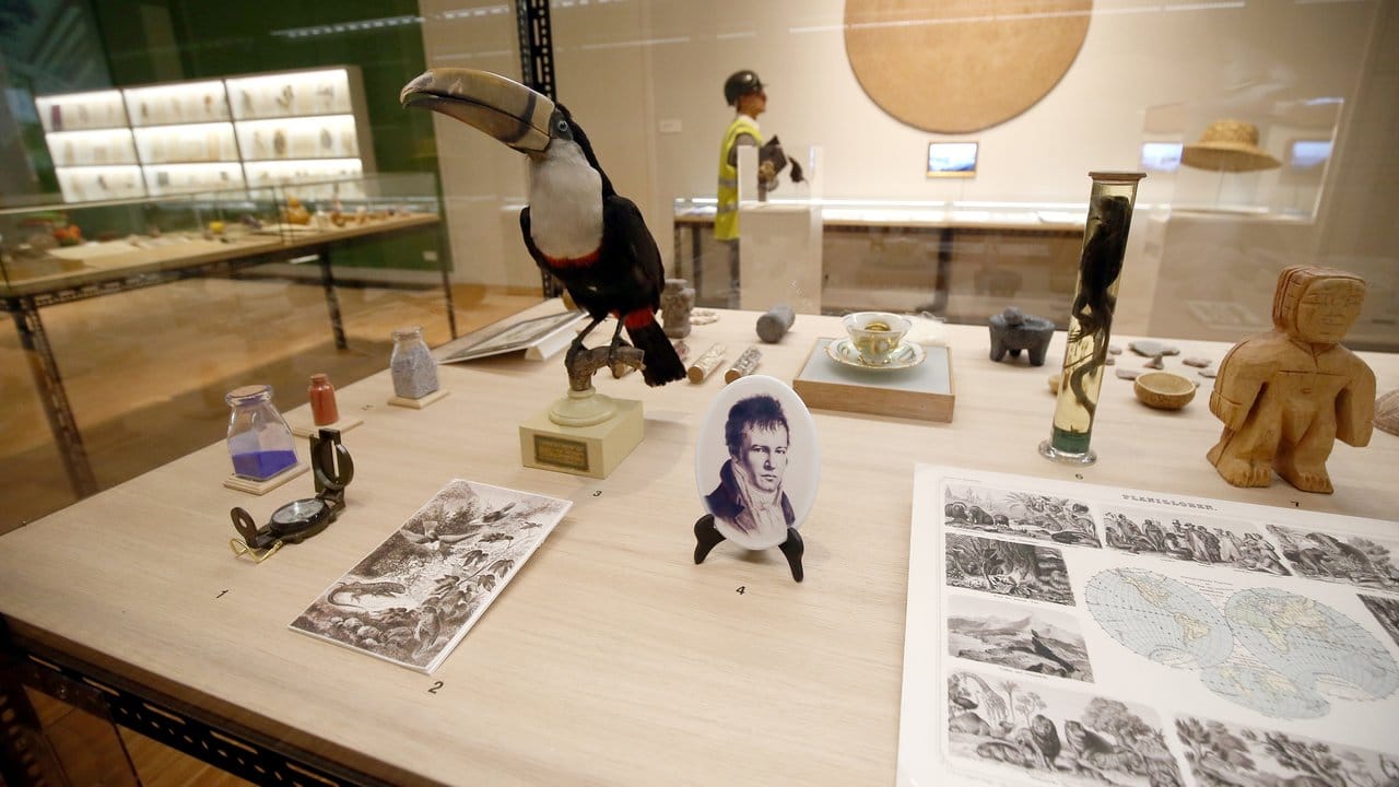 Blick in die Ausstellung zum 250. Blick in die Ausstellung zum 250.