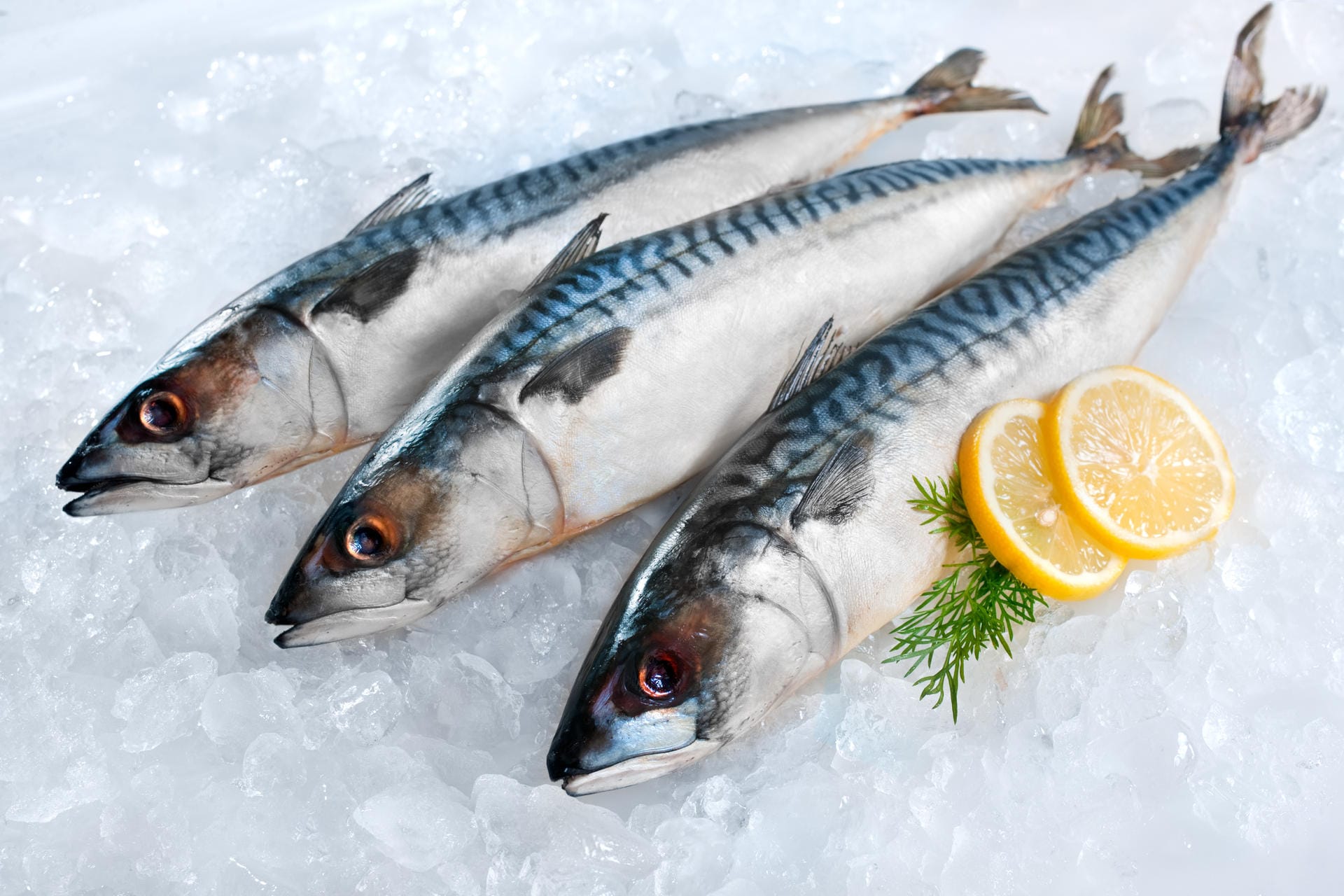 Kaltwasserfische: Thunfisch, Lachs, Makrele oder Hering können aufgrund ihres hohen Anteils an Omega-3-Fettsäuren die entzündlichen Prozesse bei Morbus Bechterew bremsen. Diese sind außerdem wichtig für gesunde Knochen und Gelenke.