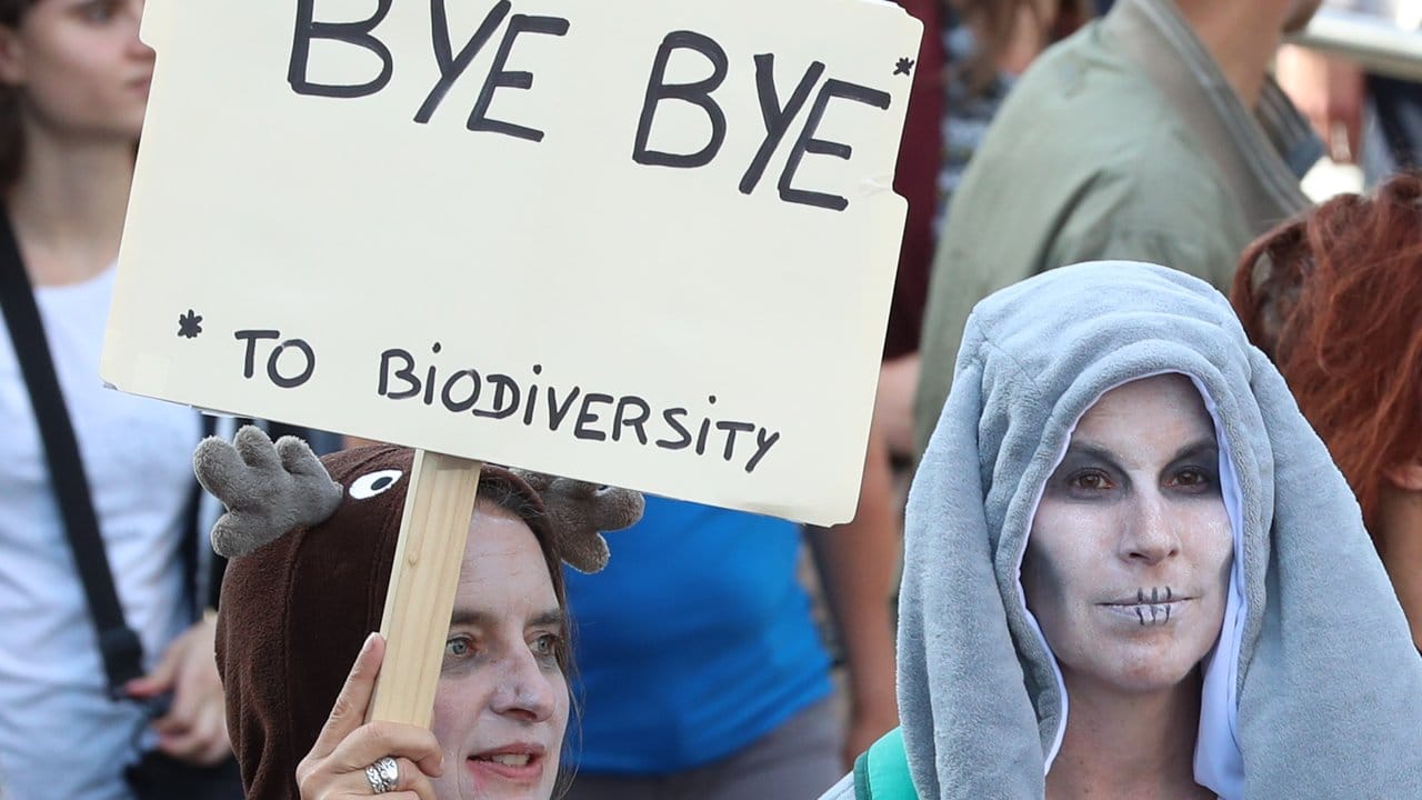 "Tschüss Artenvielfalt": Demonstranten in Brüssel.