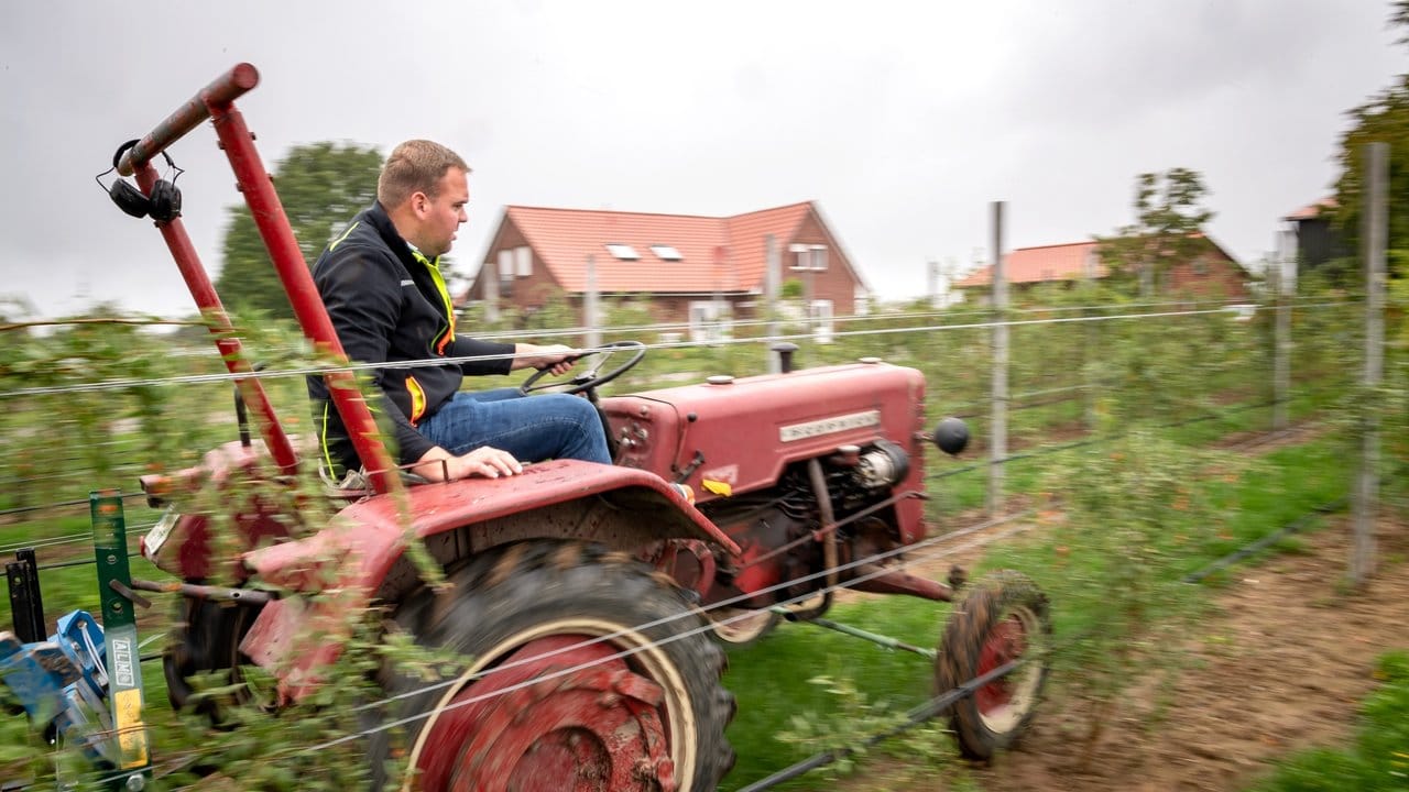 Landwirt Henning Bothe fährt mit einem Traktor über sein Feld mit Goji-Beeren.