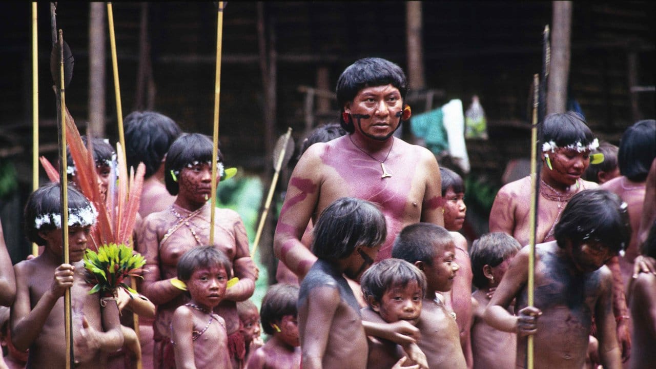 Davi Kopenawa und seine Vereinigung Hutukara Yanomami.