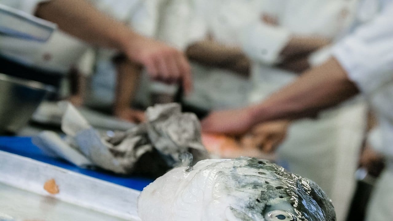Zur Kochausbildung gehören auch die Grundlagen: Azubis lernen zum Beispiel wie man einen Fisch filetiert.