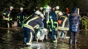 Starke Regenfälle haben eine Weide mit rund 300 Schafen in Dortmund geflutet.
