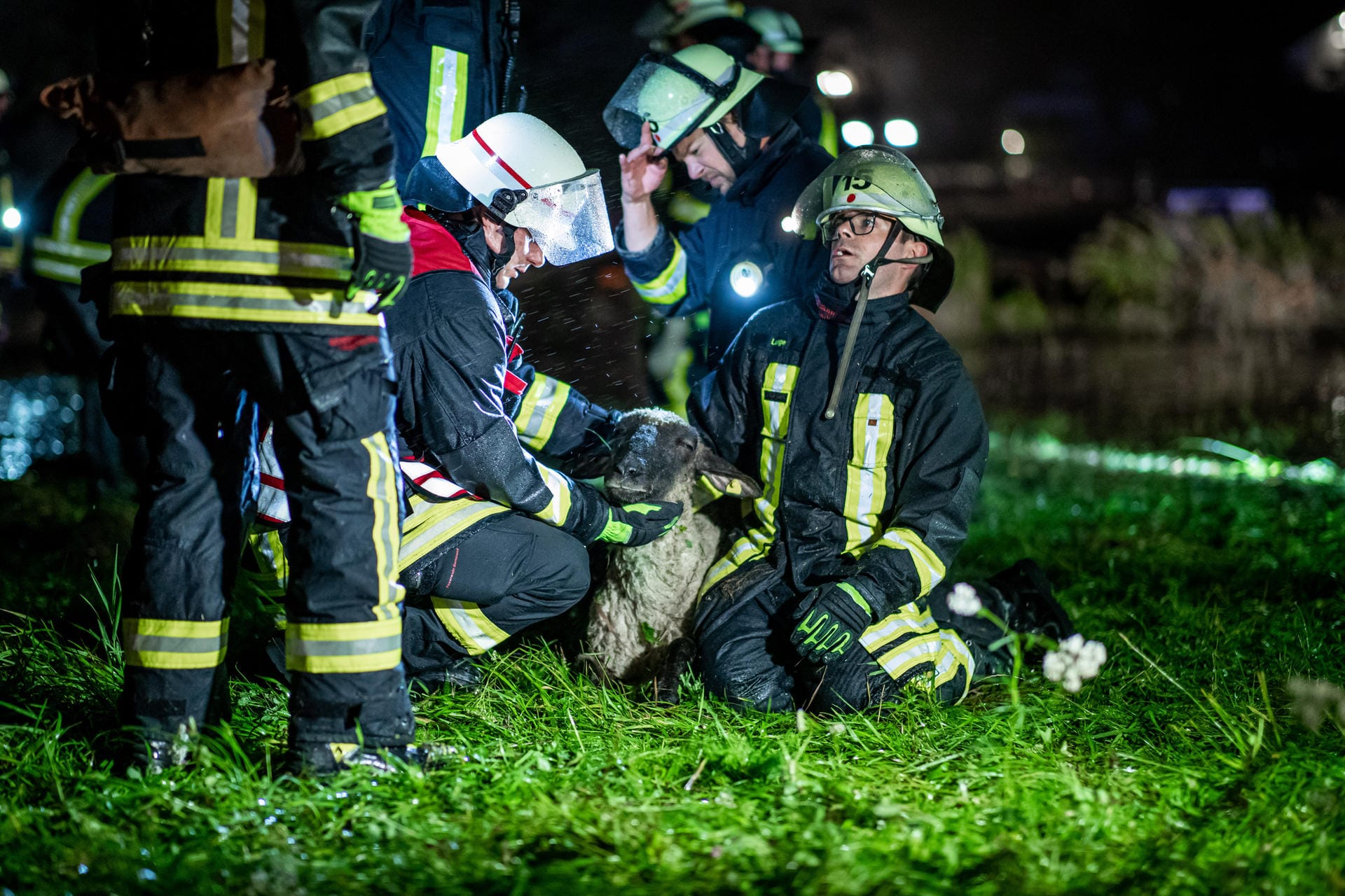 Dortmund, NRW: Hier wurde eine Weide mit 300 Schafen geflutet. Die Feuerwehr rettete die Tiere.