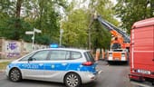 Berlin: Feuerwehrmänner zerlegen einen umgestürzten Baum in Weißensee.