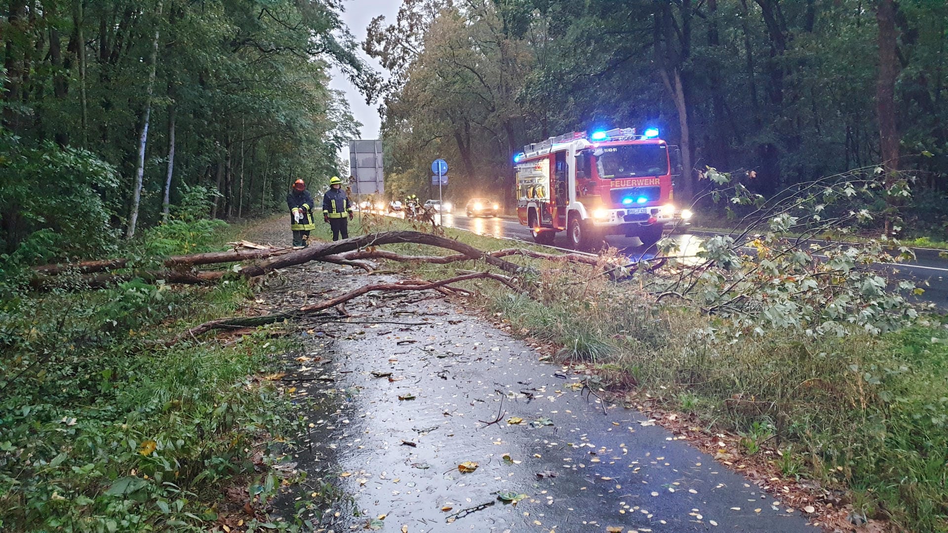 Friesack in Brandenburg: Einsatzkräfte der Feuerwehr mussten auch hier ausrücken, um Bäume von der Straße zu entfernen.