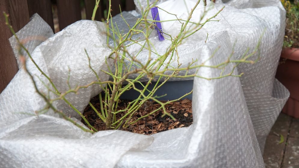 Wann muss ich den Garten winterfest machen?