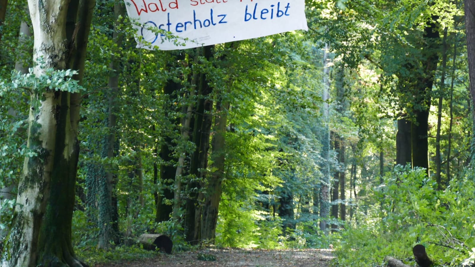 "Wald statt Müll, Osterholz bleibt" heißt es auf einem Banner: Osterholz soll als Halde herhalten.