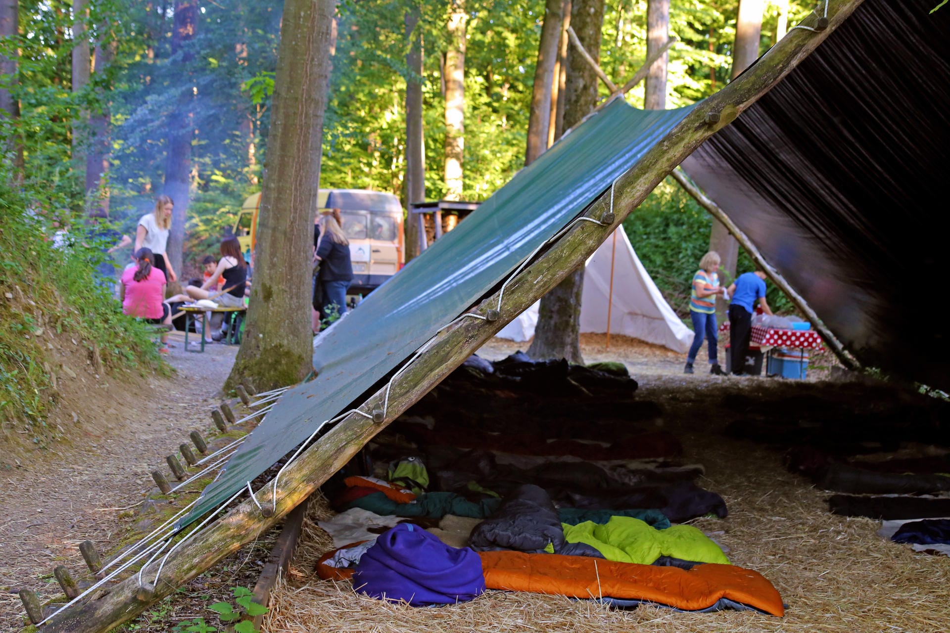 Draußen campen und nachts die Wölfe heulen hören - das können Besucher im Wildpark Bad Mergentheim erleben.
