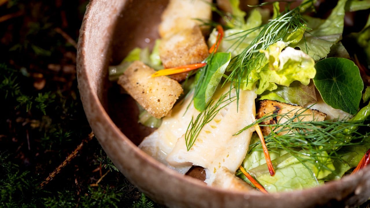 Der topf-geräucherte Barsch wird in einer Schüssel mit Kräutern und Butter-gerösteten Croutons als Vorspeise angerichtet.