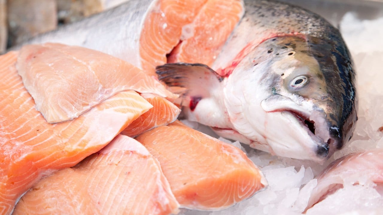 Fettreiche Fischarten wie Lachs bieten einen weitaus höheren Anteil an langkettigen Omega-3-Fettsäuren als fettarme Arten.